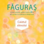 Făguraș