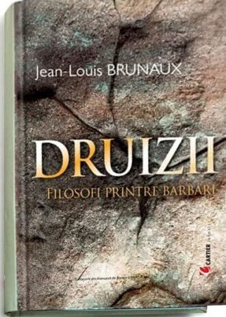 Druizii