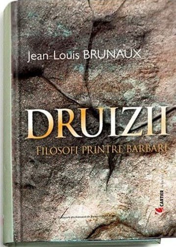 Druizii