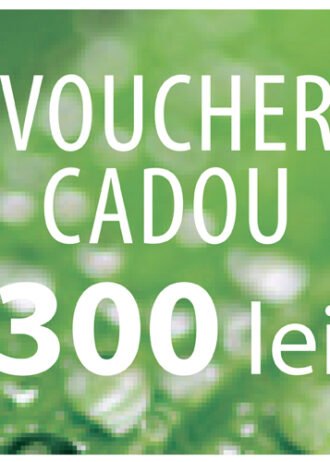 Voucher (300 lei)