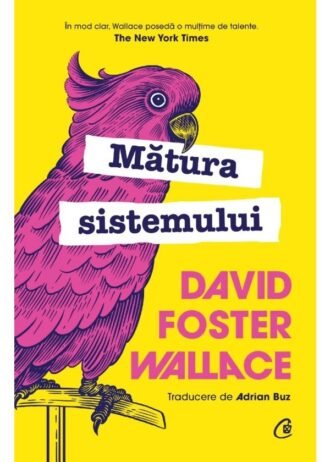 Mătura sistemului