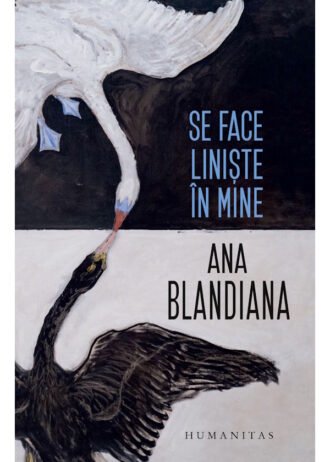 Se face liniște în mine